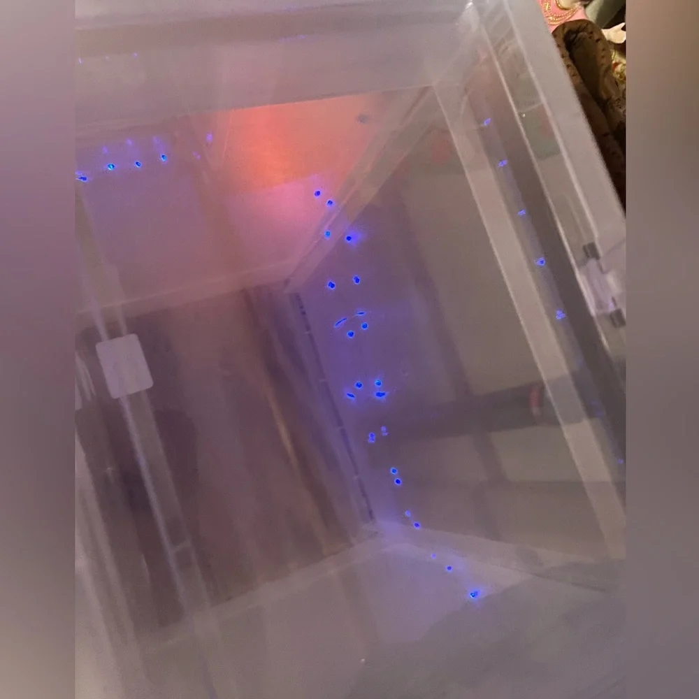 The Container Store size small